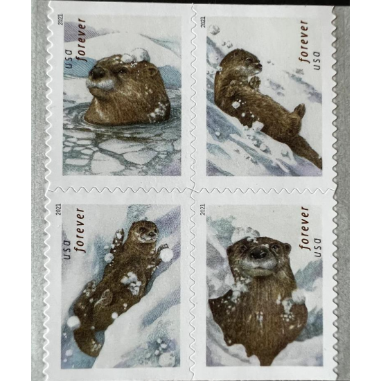 US 2021 Otters in Snow Forever Stamps