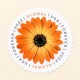 2022 US Global African Daisy Forever Stamps