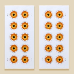 2022 US Global African Daisy Forever Stamps