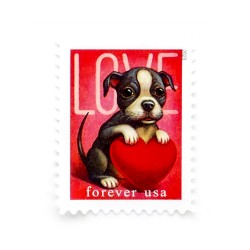 2023 First-Class Forever Stamps - Love: Kitten & Puppy