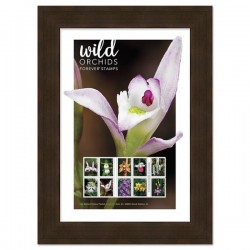 U.S. 2021 Wild Orchids Framed Forever Stamps