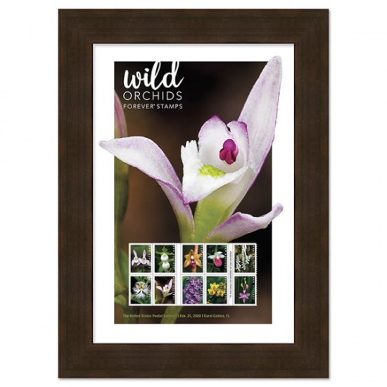 U.S. 2021 Wild Orchids Framed Forever Stamps